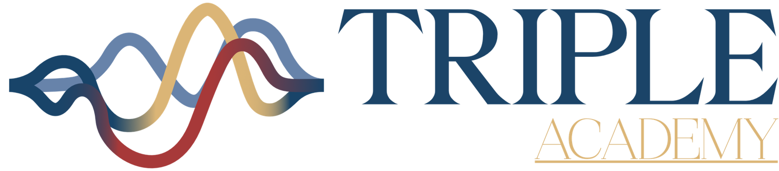 logo-horizontal-academy